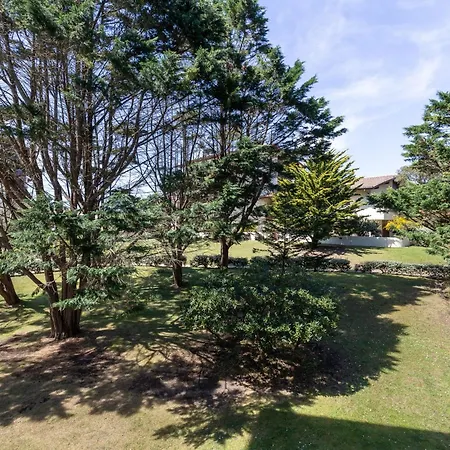Renove Pres Des Plages Et Du Marche, 2 Chambres, Terrasse, Parking, Wifi Inclus - Fr-1-239-463 Seignosse