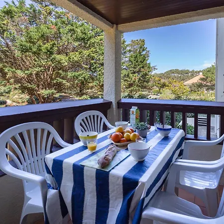 Apartment Renove Pres Des Plages Et Du Marche, 2 Chambres, Terrasse, Parking, Wifi Inclus - Fr-1-239-463 Seignosse